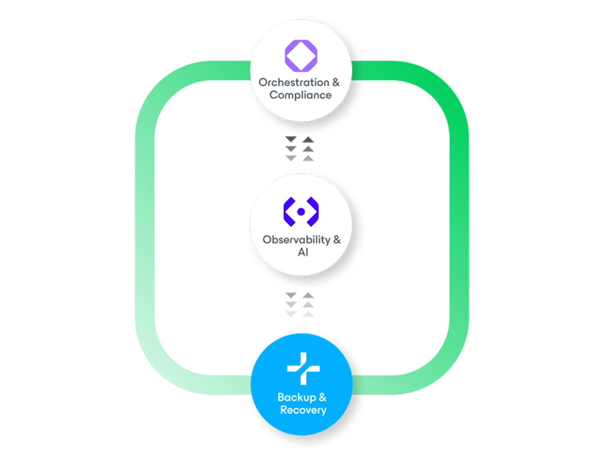 Backup and recovery operations platform